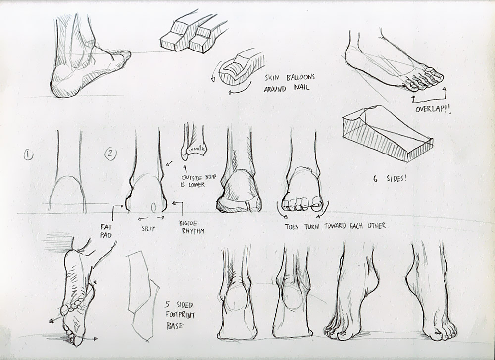 John Raynes Figure Drawing And Anatomy For The Artist Pdf